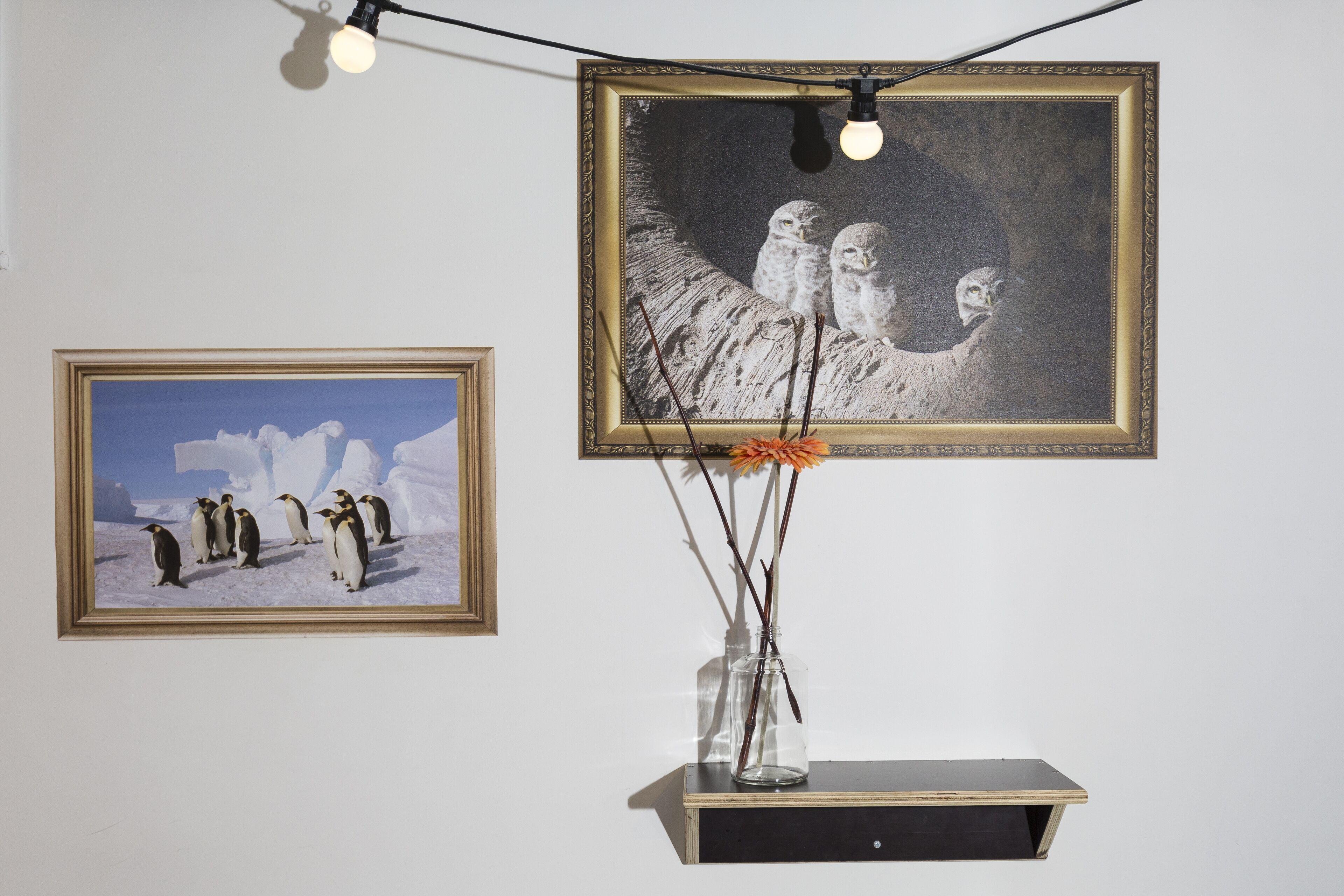 Hostel Will & Tate Den Haag